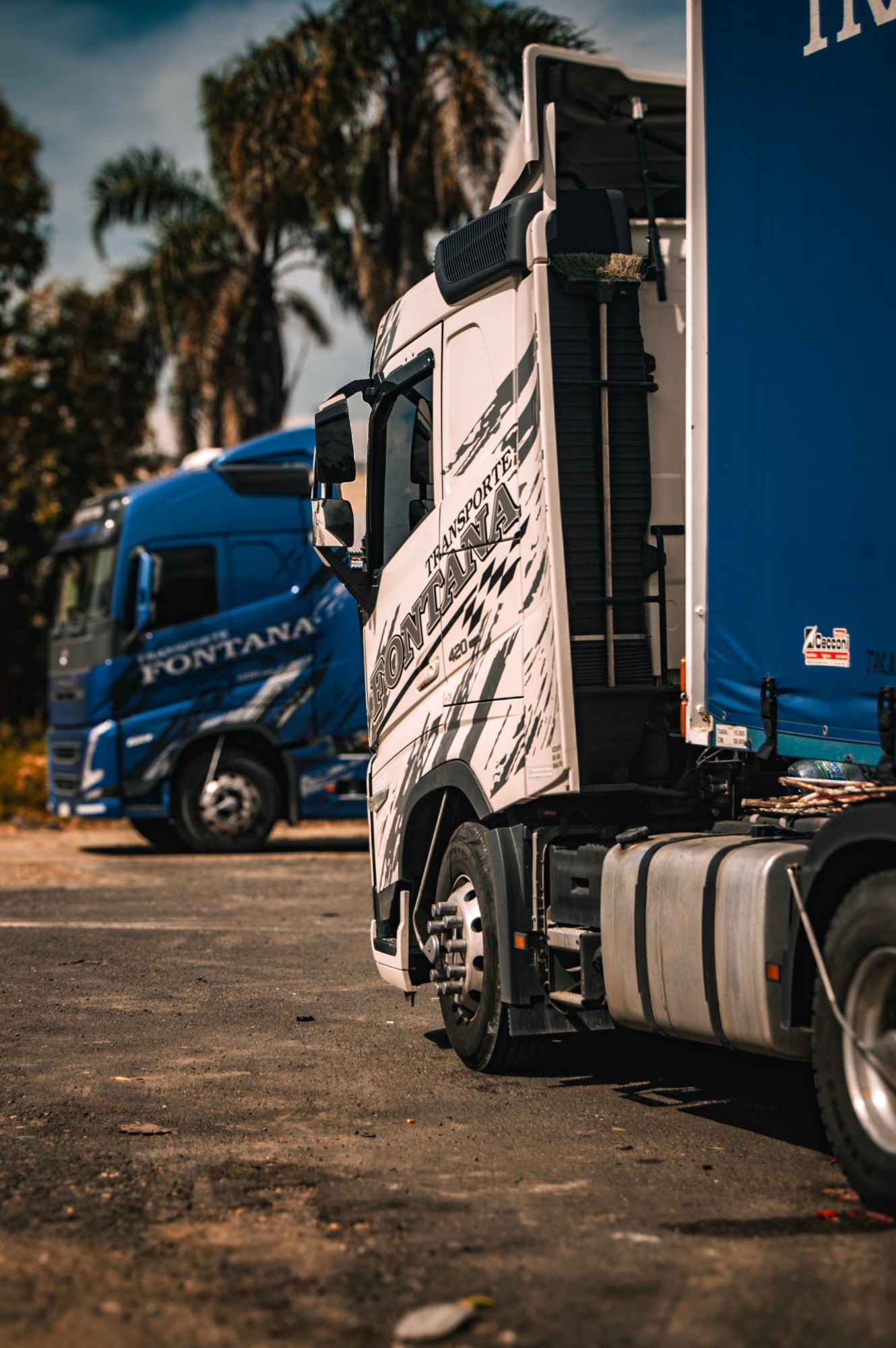 Camión Volvo de Transporte Fontana, vista lateral de la cabina