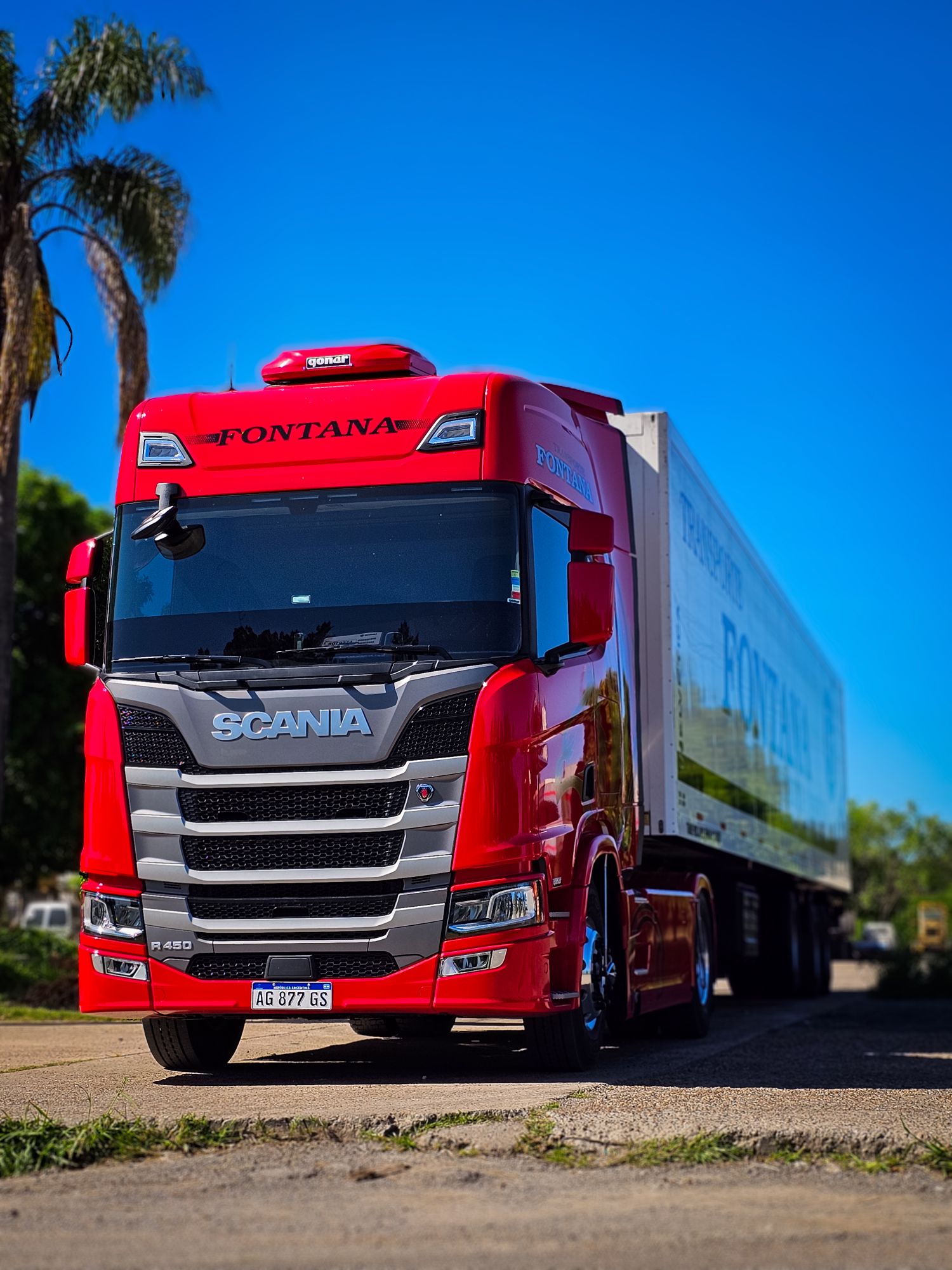Camión Scania rojo de Transporte Fontana, toma baja con palmeras y cielo despejado